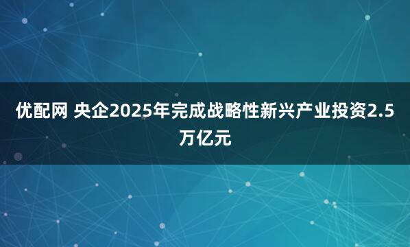 优配网 央企2025年完成战略性新兴产业投资2.5万亿元