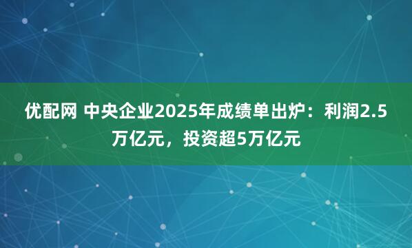 优配网 中央企业2025年成绩单出炉：利润2.5万亿元，投资超5万亿元