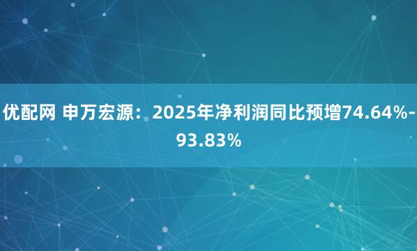 优配网 申万宏源：2025年净利润同比预增74.64%-93.83%