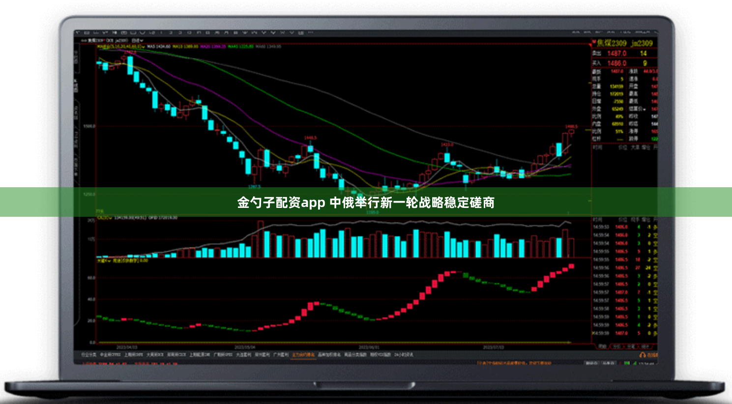 金勺子配资app 中俄举行新一轮战略稳定磋商