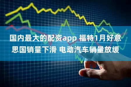 国内最大的配资app 福特1月好意思国销量下滑 电动汽车销量放缓
