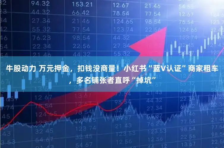 牛股动力 万元押金，扣钱没商量！小红书“蓝V认证”商家租车，多名铺张者直呼“掉坑”