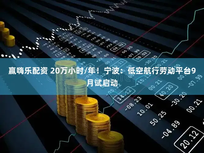 赢嗨乐配资 20万小时/年！宁波：低空航行劳动平台9月试启动