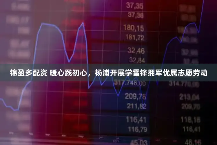 锦盈多配资 暖心践初心，杨浦开展学雷锋拥军优属志愿劳动