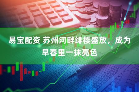 易宝配资 苏州河畔绯樱盛放，成为早春里一抹亮色