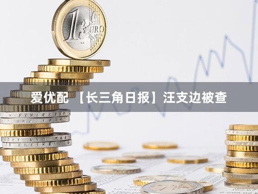 爱优配 【长三角日报】汪支边被查