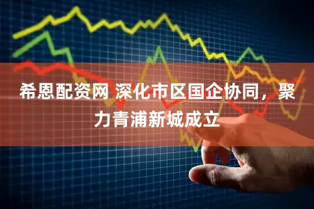 希恩配资网 深化市区国企协同，聚力青浦新城成立