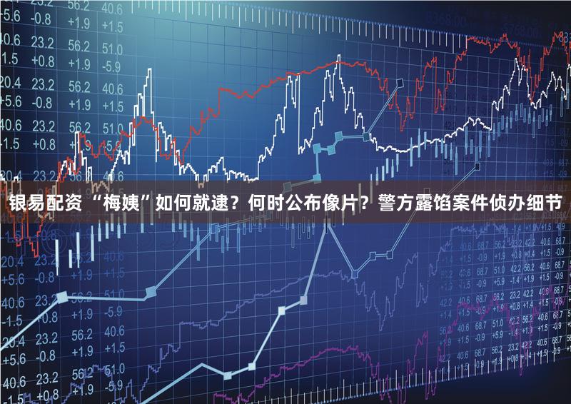 银易配资 “梅姨”如何就逮？何时公布像片？警方露馅案件侦办细节