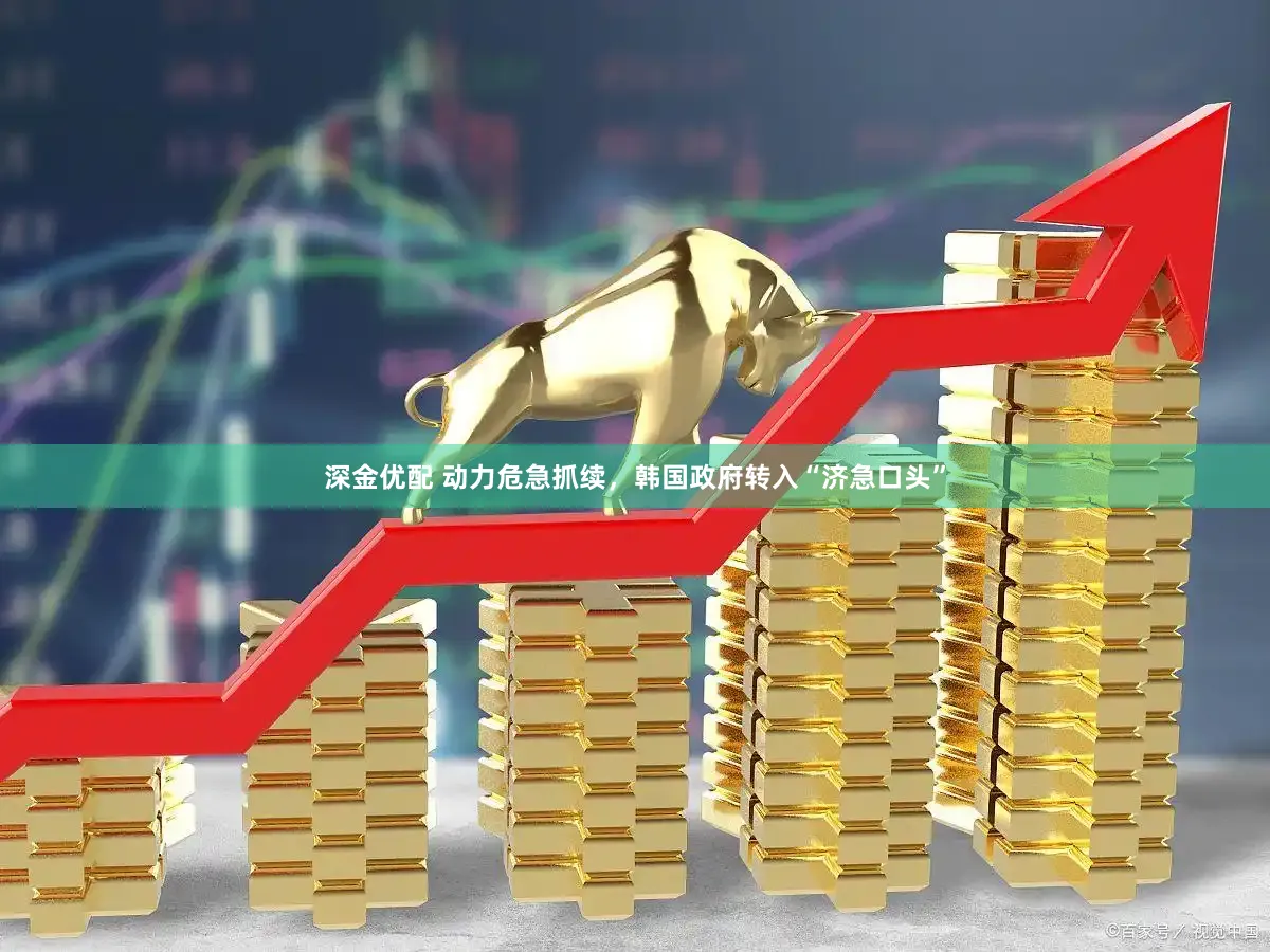 深金优配 动力危急抓续，韩国政府转入“济急口头”