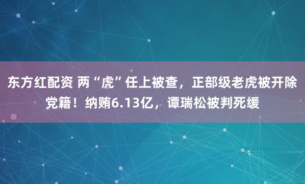 东方红配资 两“虎”任上被查，正部级老虎被开除党籍！纳贿6.13亿，谭瑞松被判死缓
