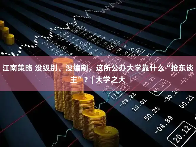 江南策略 没级别、没编制,这所公办大学靠什么“抢东谈主”?| 大学之大