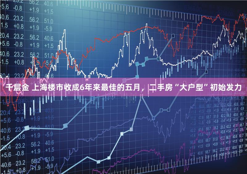千层金 上海楼市收成6年来最佳的五月，二手房“大户型”初始发力
